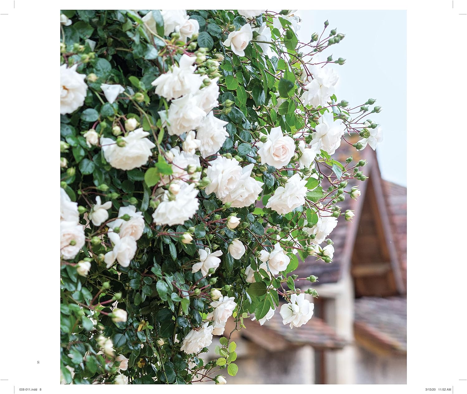 OUR HEARTS ARE IN FRANCE Simple Me Box