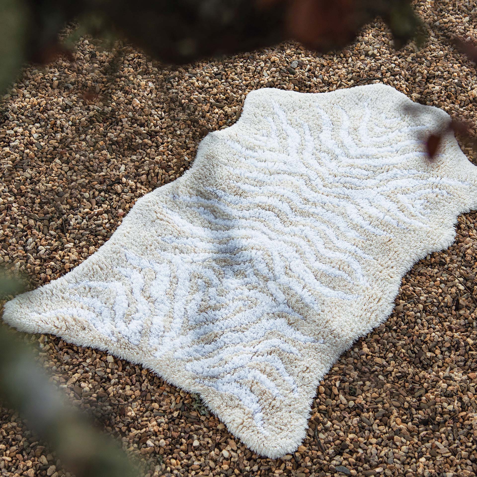 MOUNTAIN ZEBRA Graccioza