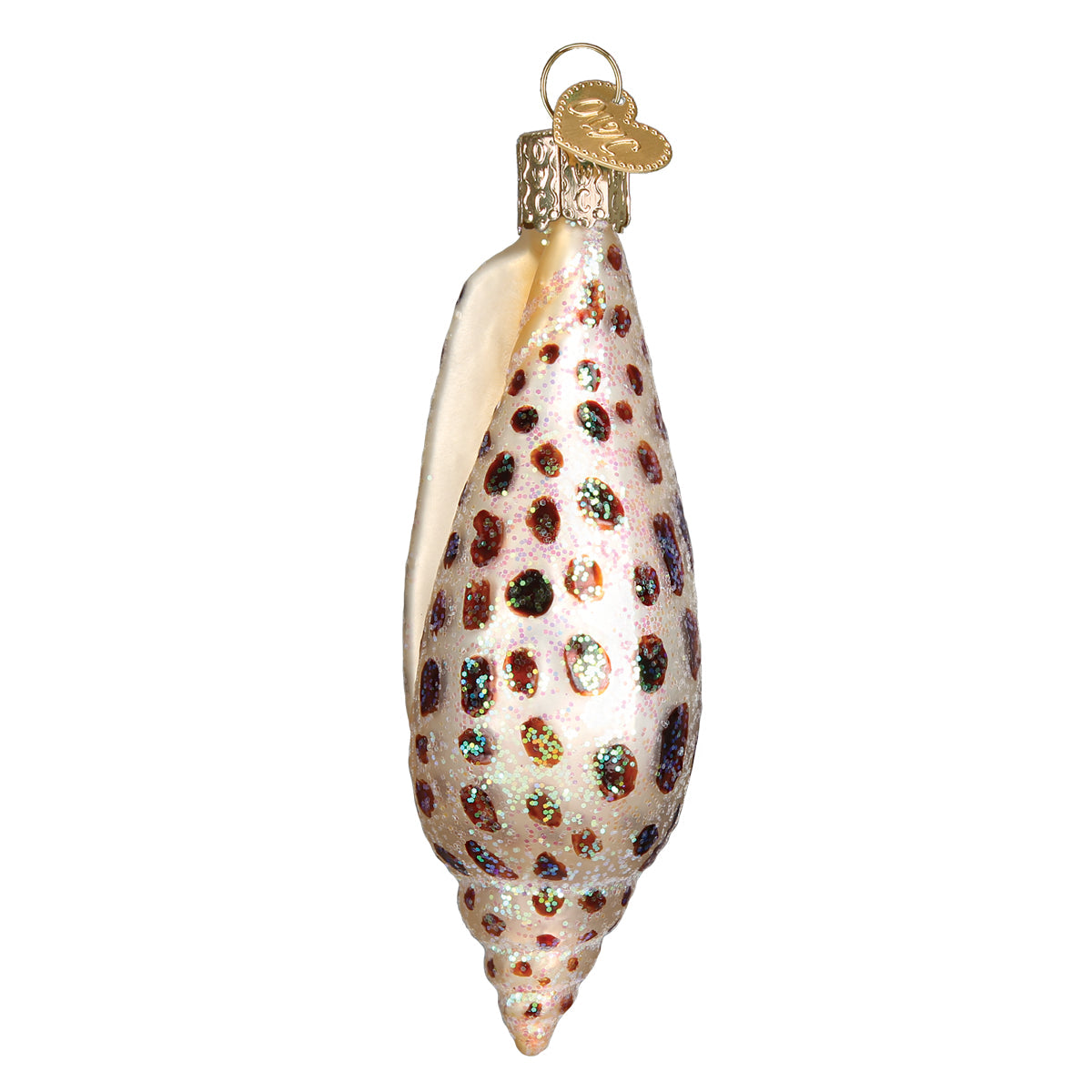 Junonia Shell Ornament Old World Christmas