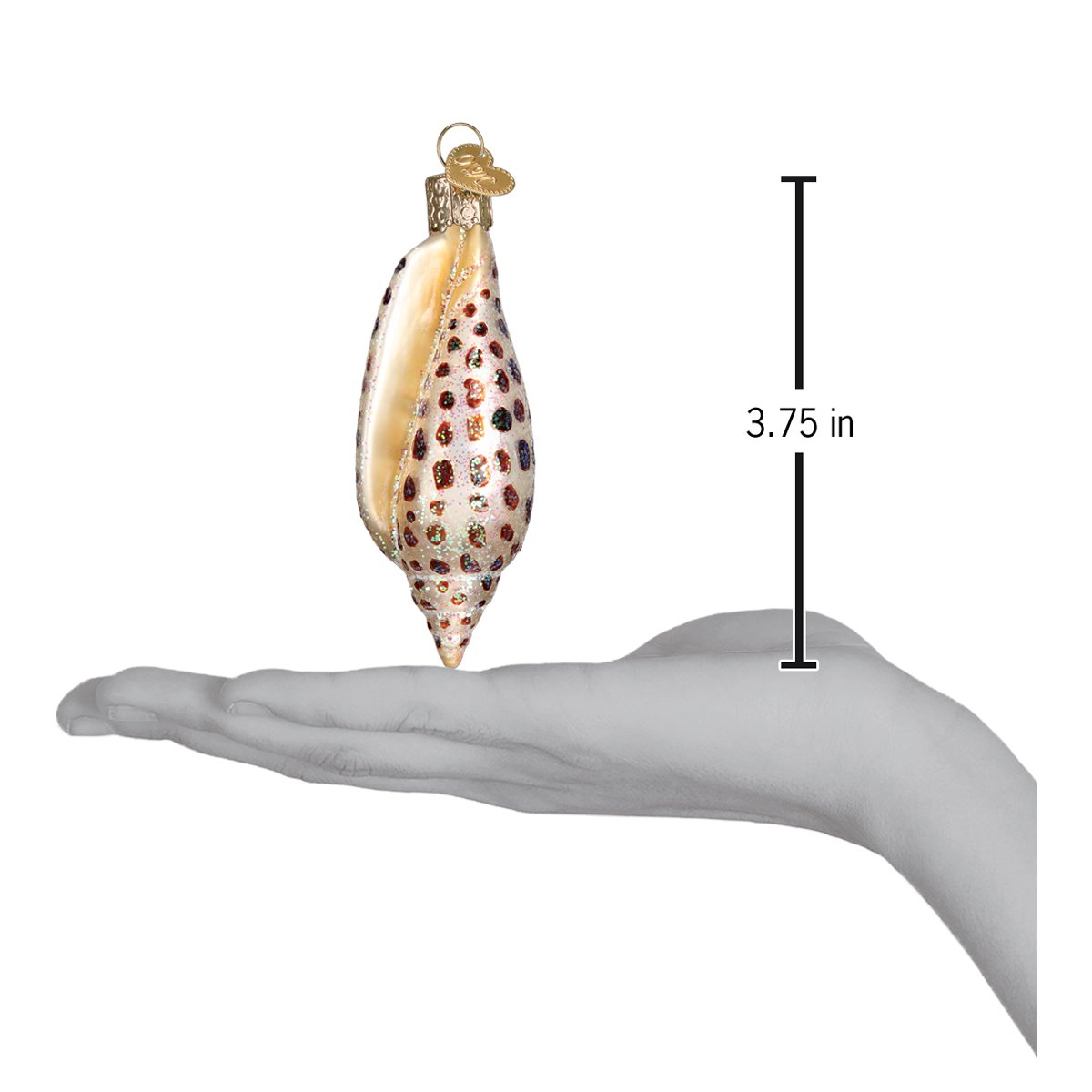 Junonia Shell Ornament Old World Christmas