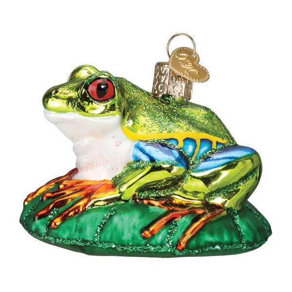 Red-eyed Tree Frog Ornament Old World Christmas
