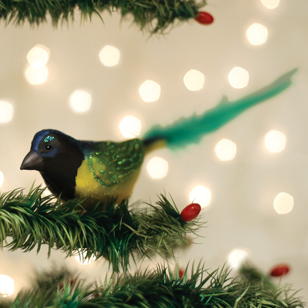 Green Jay Ornament Old World Christmas