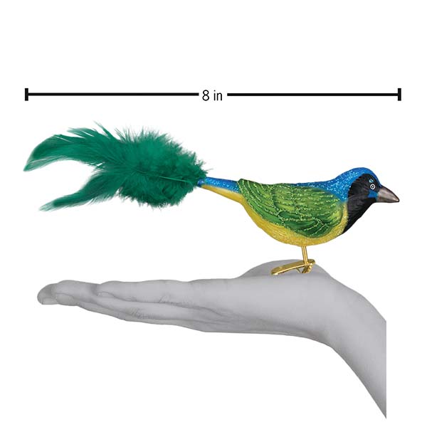 Green Jay Ornament Old World Christmas
