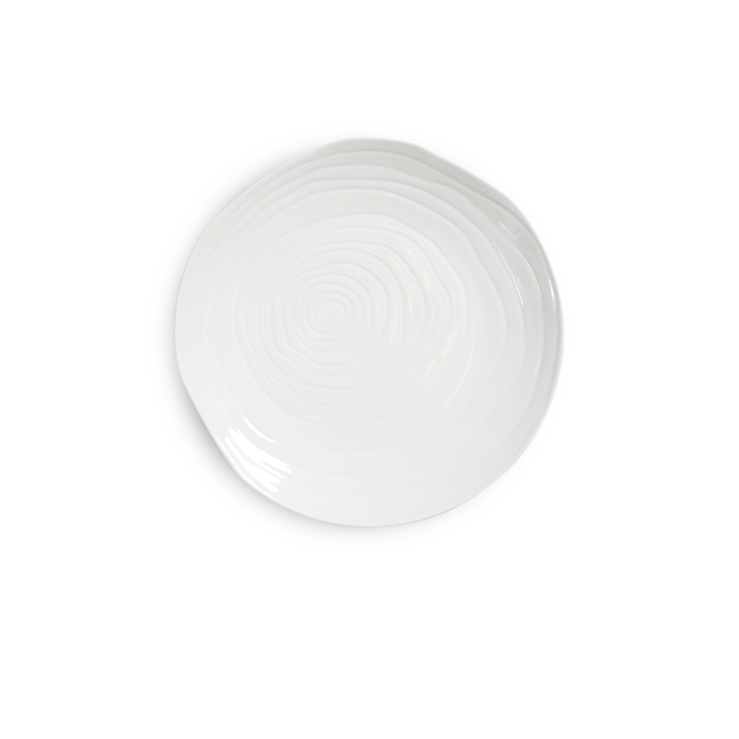 Teck 11" White Dinner Plates, Set of 4