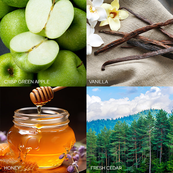 Sparkling Apple Cider Candle Old World Christmas