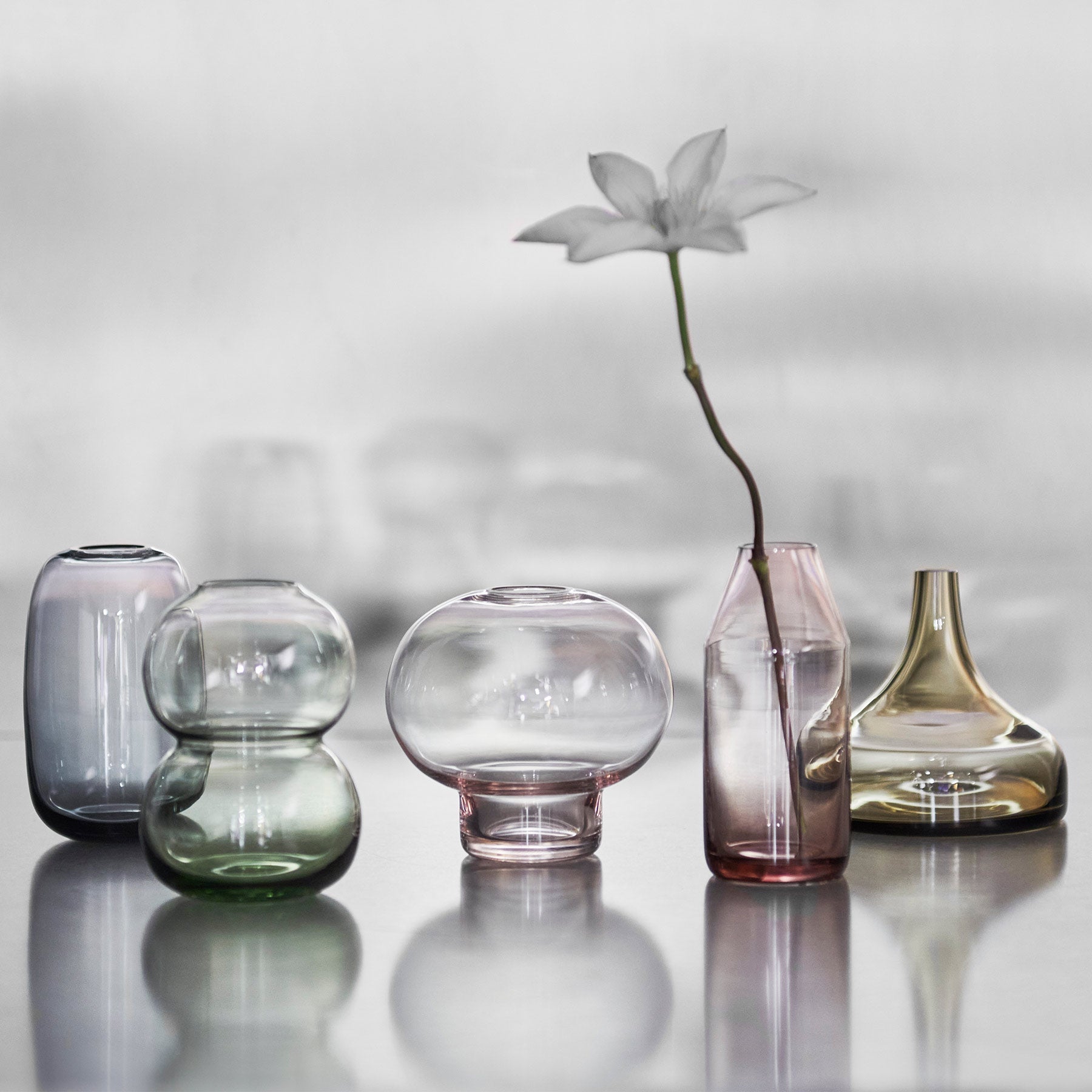 Midsummer Oxeye Daisy Vase Orrefors