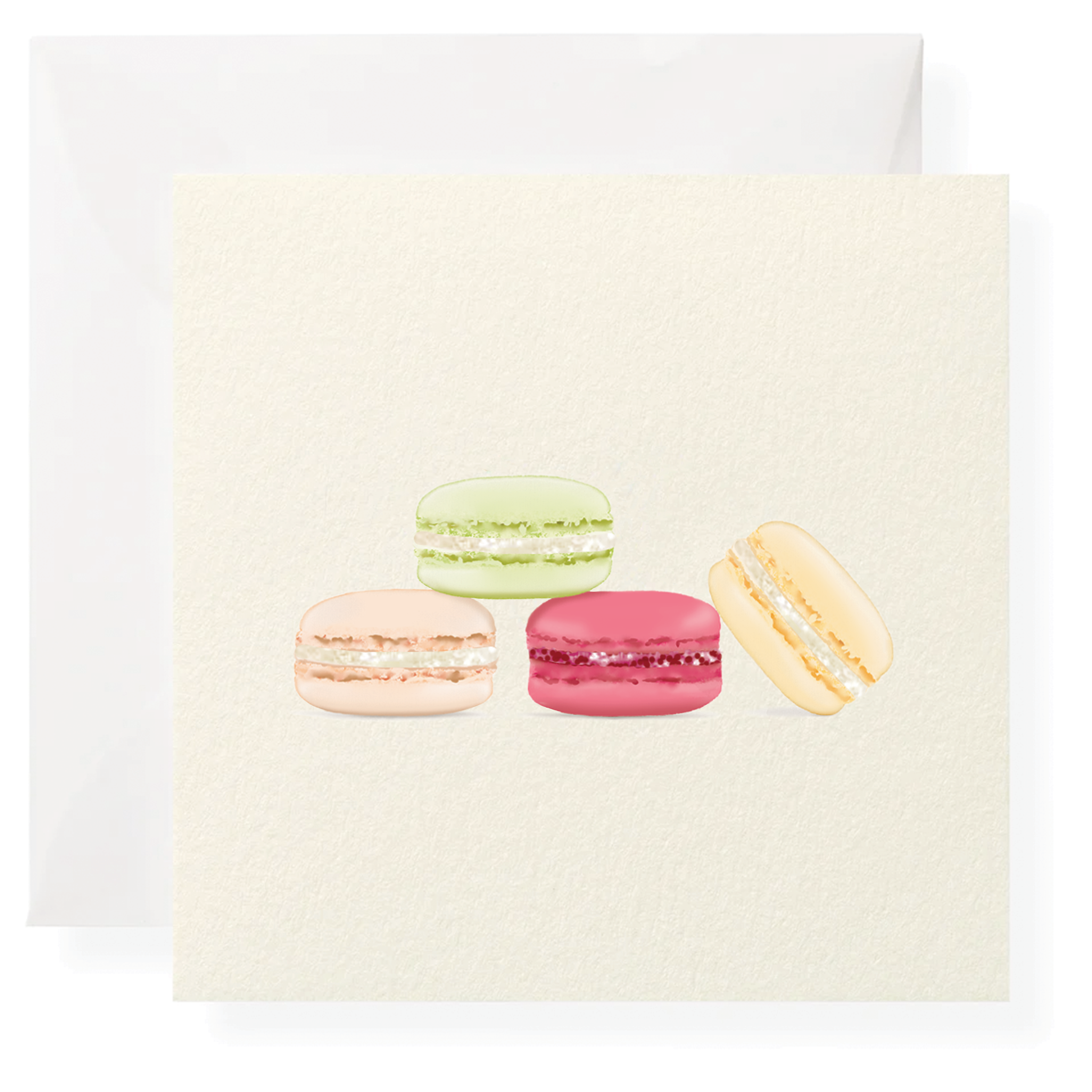 Macarons Individual Gift Enclosure Karen Adams Designs