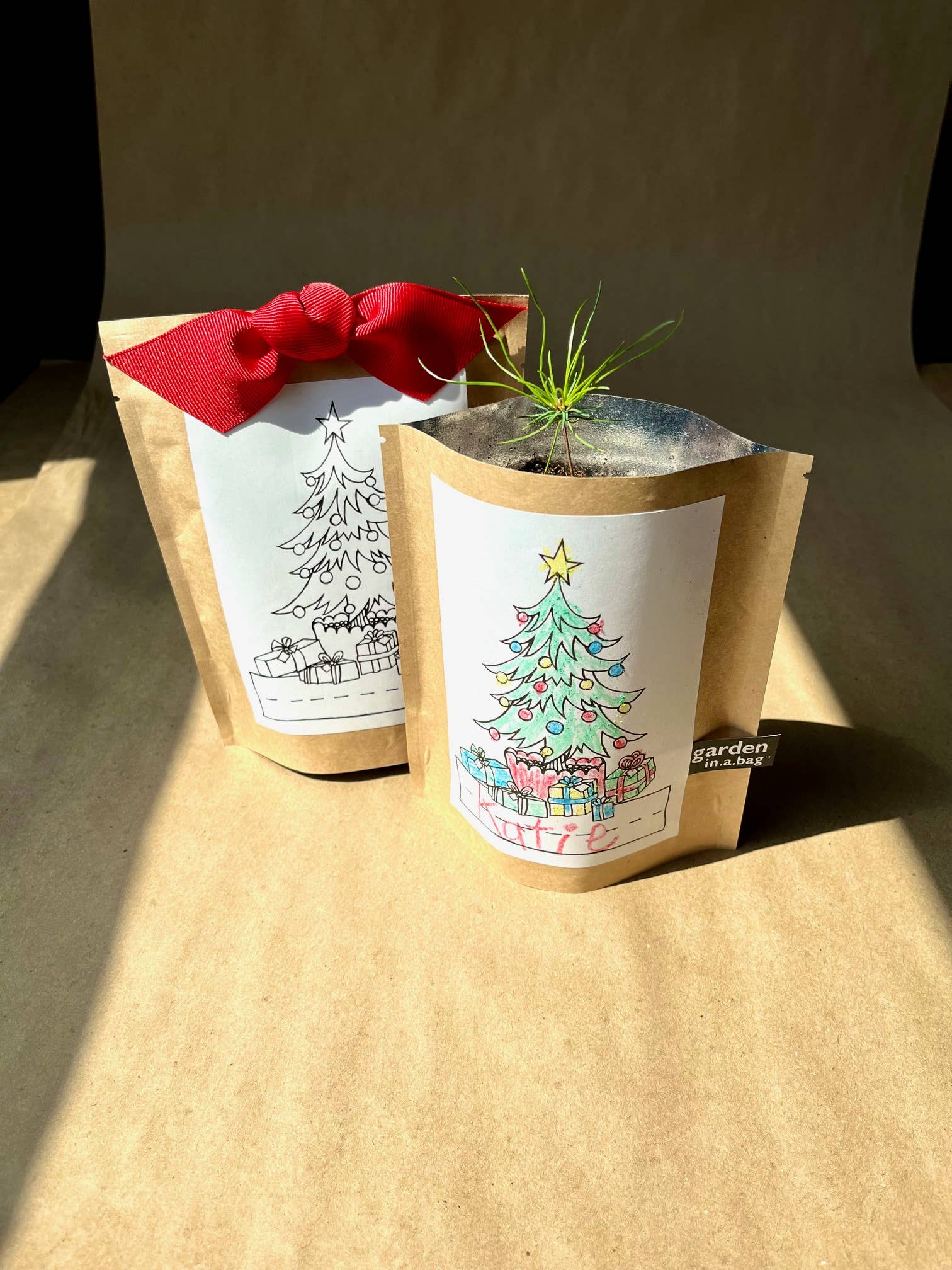 Kids Garden in a Bag | Christmas Tree | Best Seller: Christmas Tree Potting Shed Creations, Ltd.