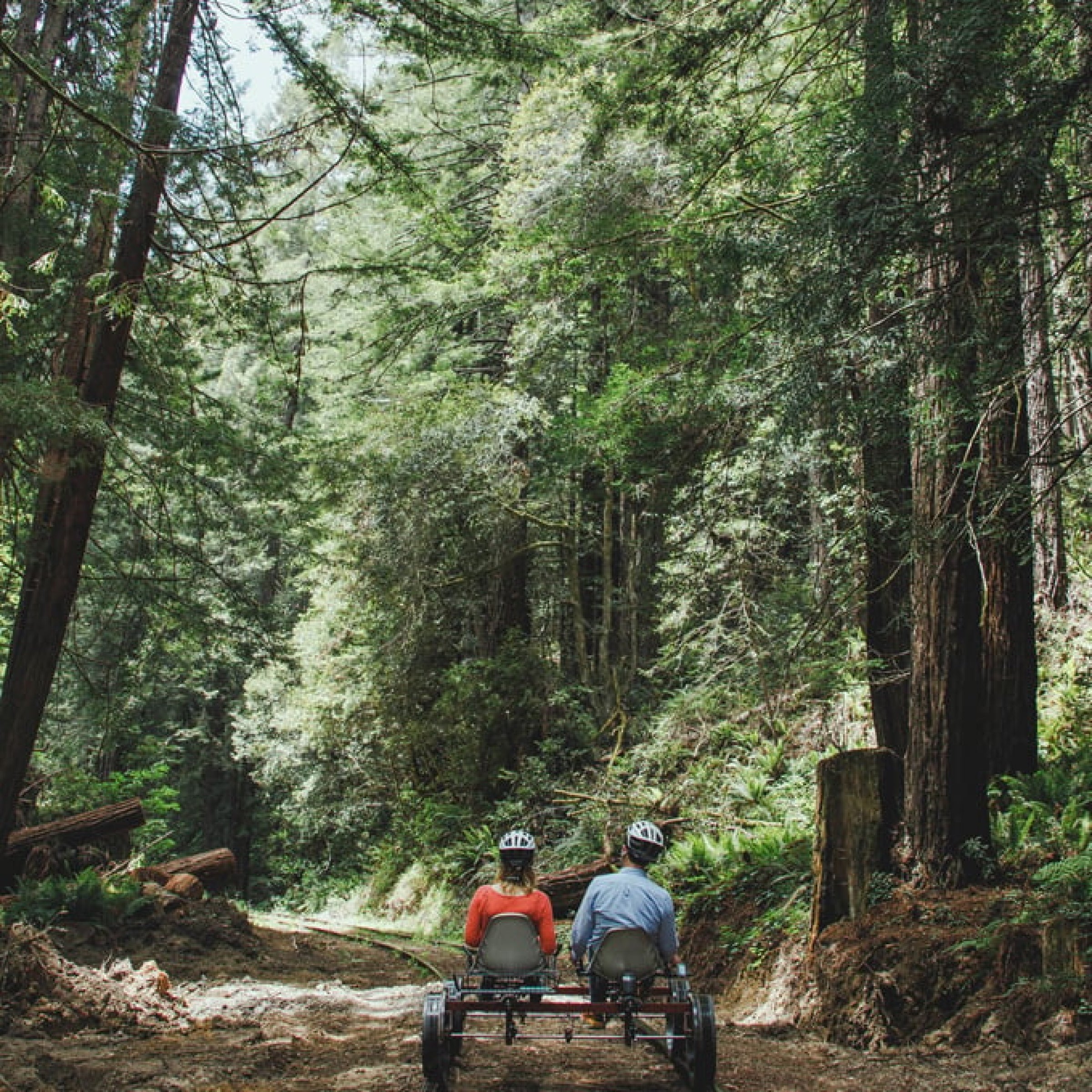 Redwoods Railbike Tour virgin experiences