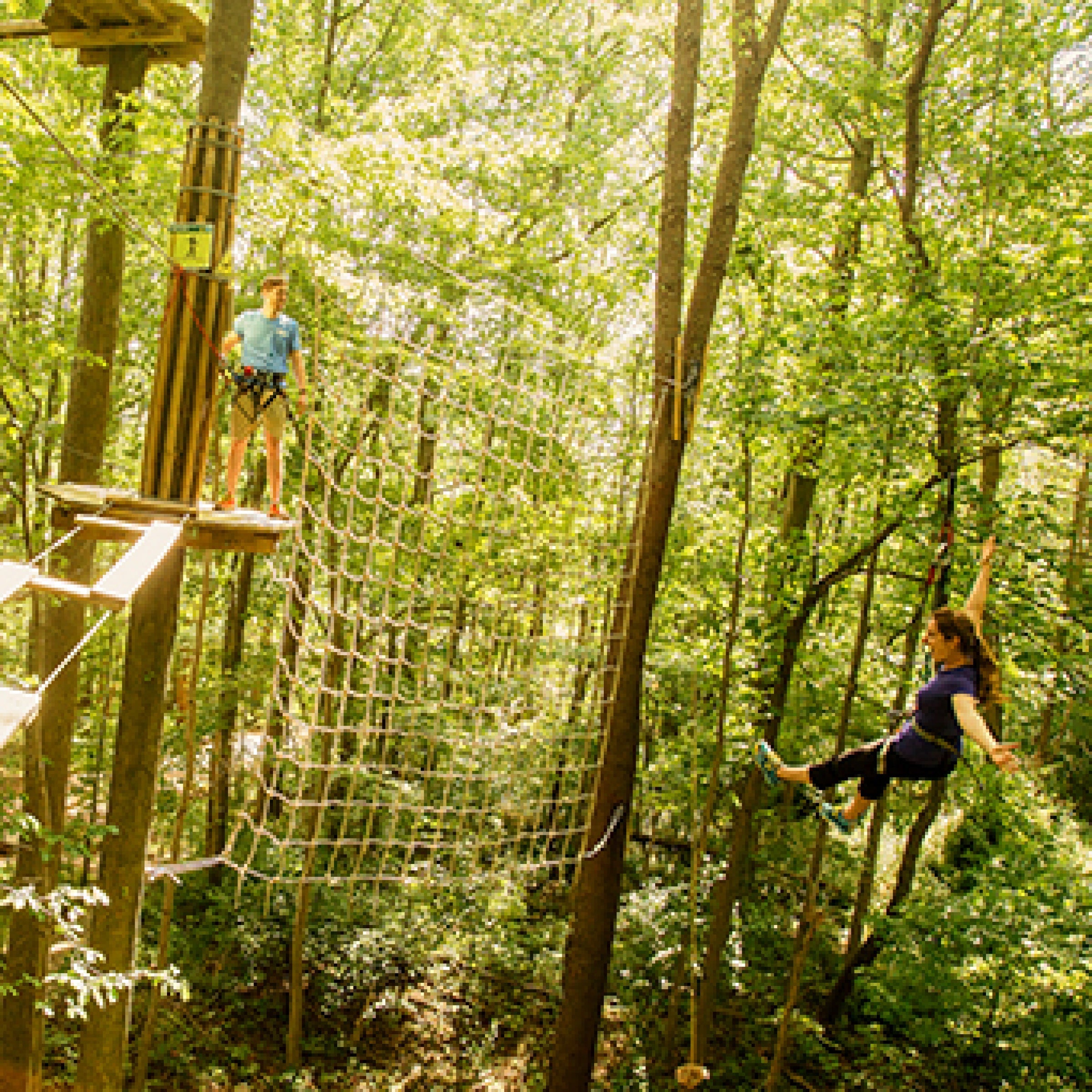 Treetop Adventure with Go Ape virgin experiences