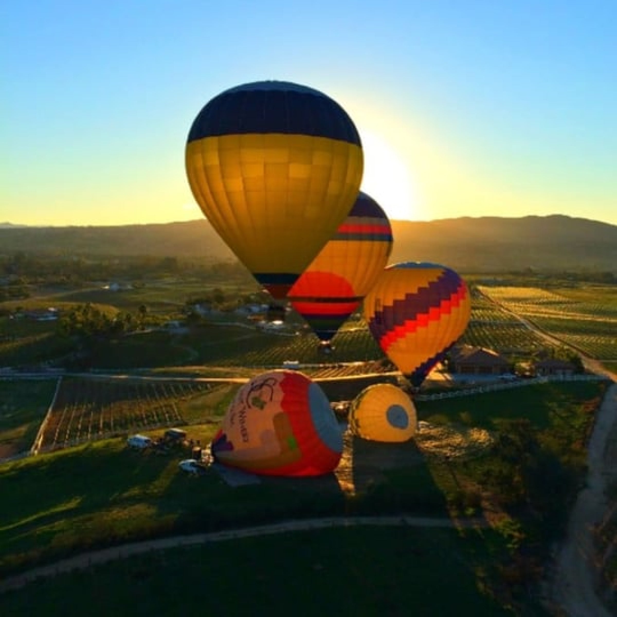 Temecula Sunrise Balloon Ride virgin experiences