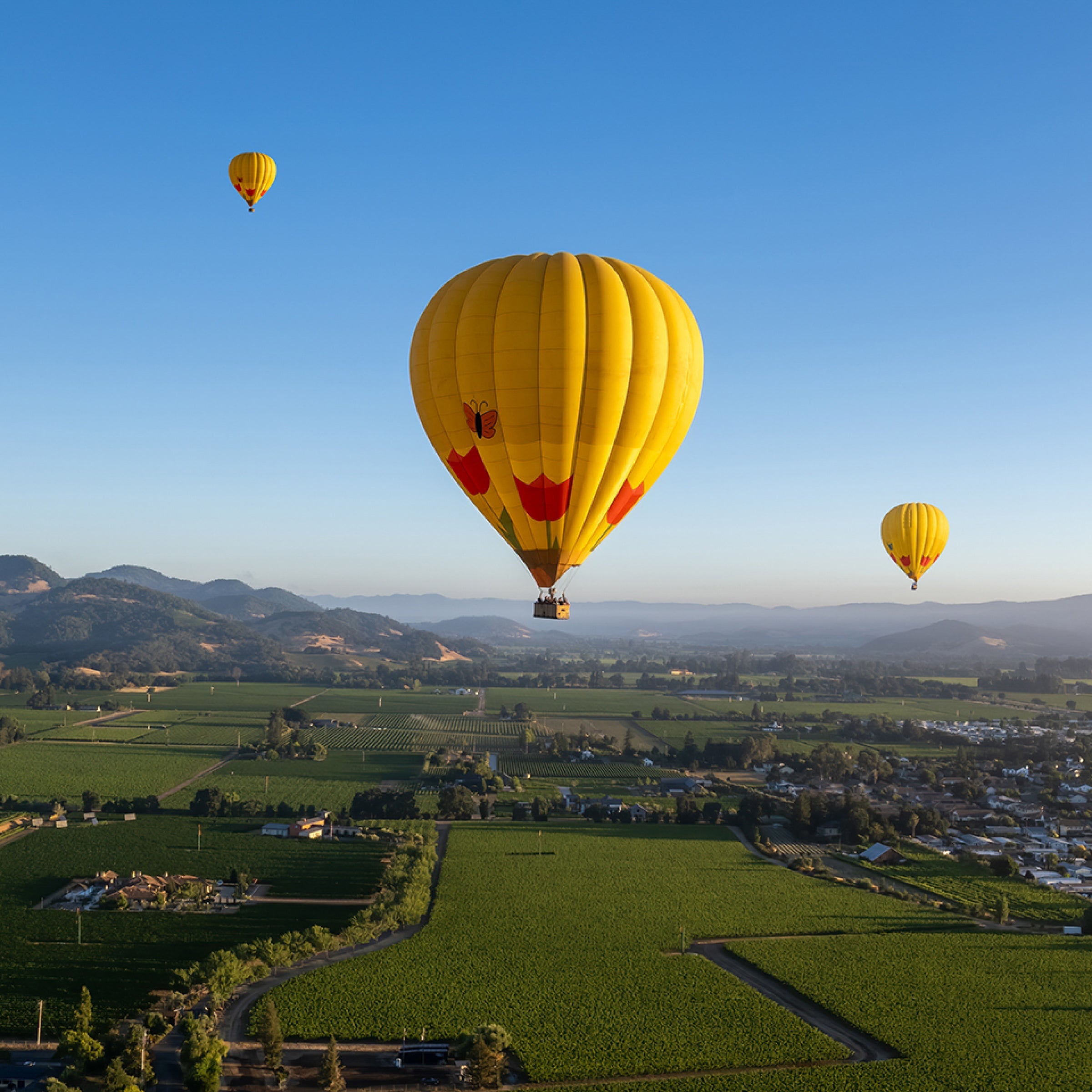 Napa Valley Hot Air Balloon Ride virgin experiences