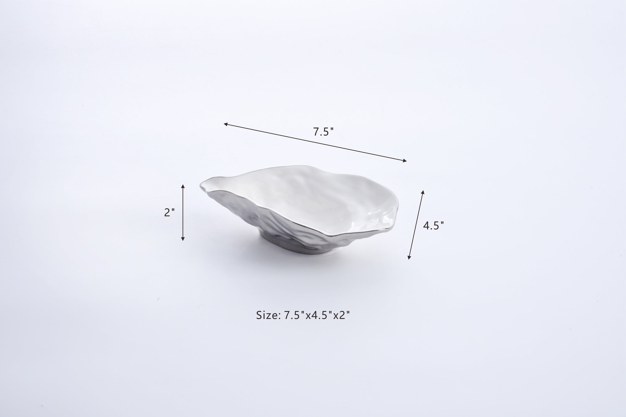 The Oysters Small Oyster Bowl Titanium Exterior