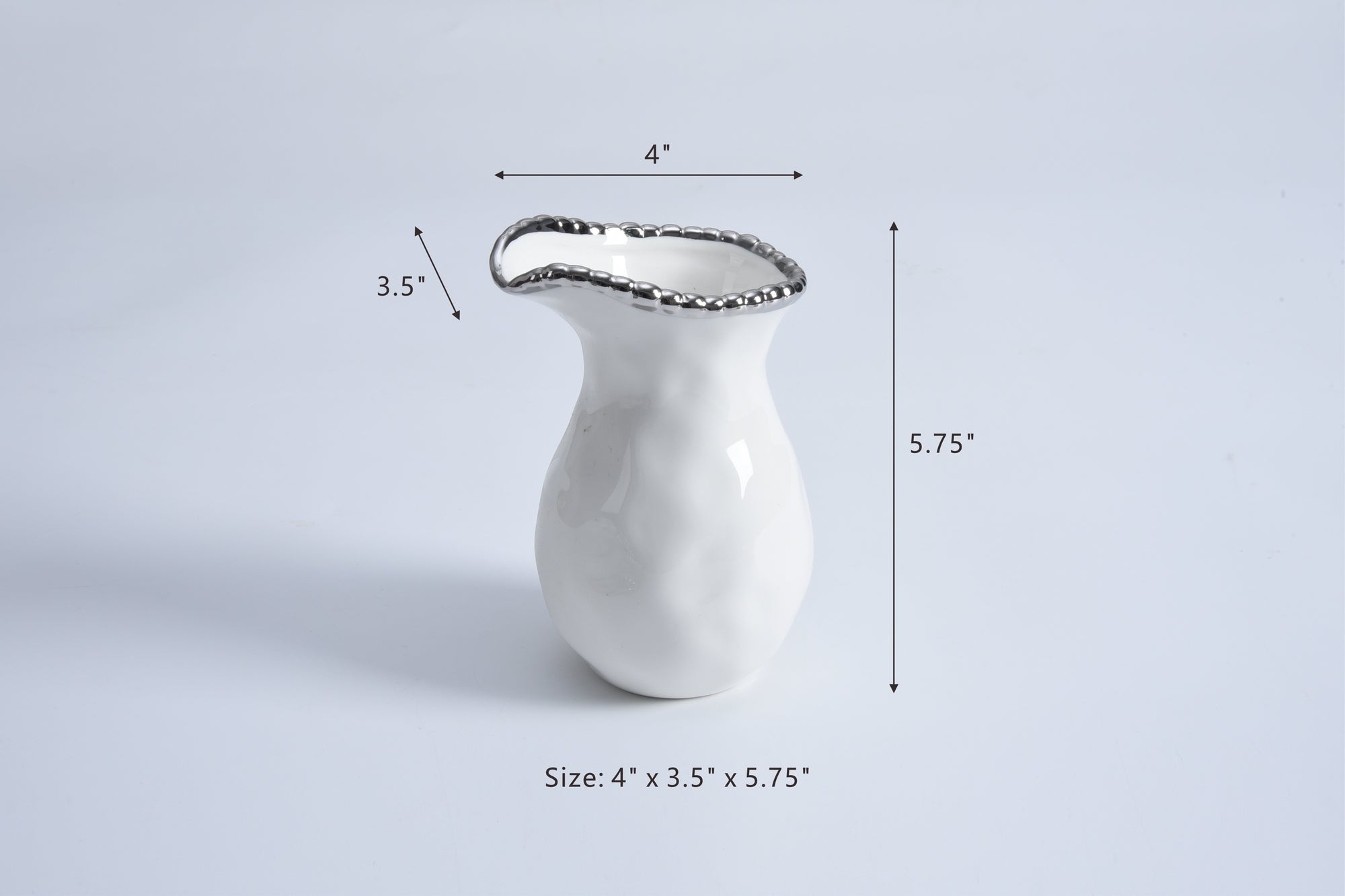 Salerno Creamer/Pitcher Pampa Bay