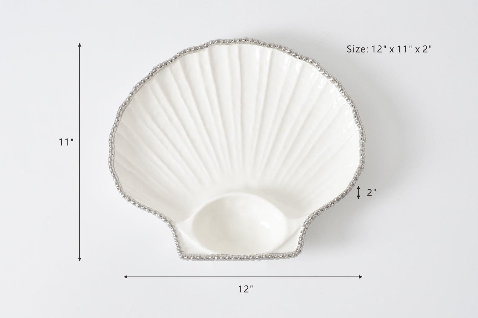 Salerno Large Shell Pampa Bay