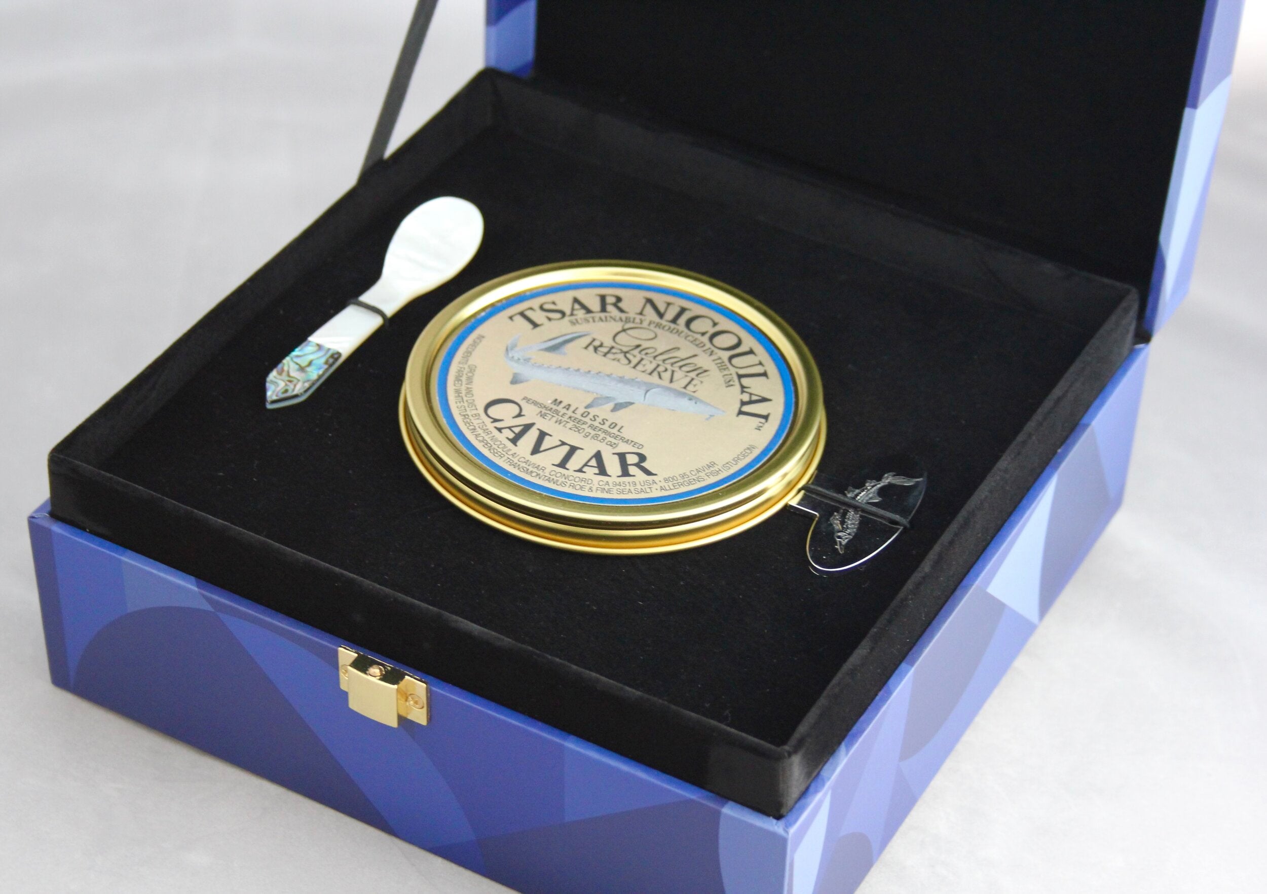 MOSAIC - 250G TIN PARTY GIFT BOX Csar Nicolus