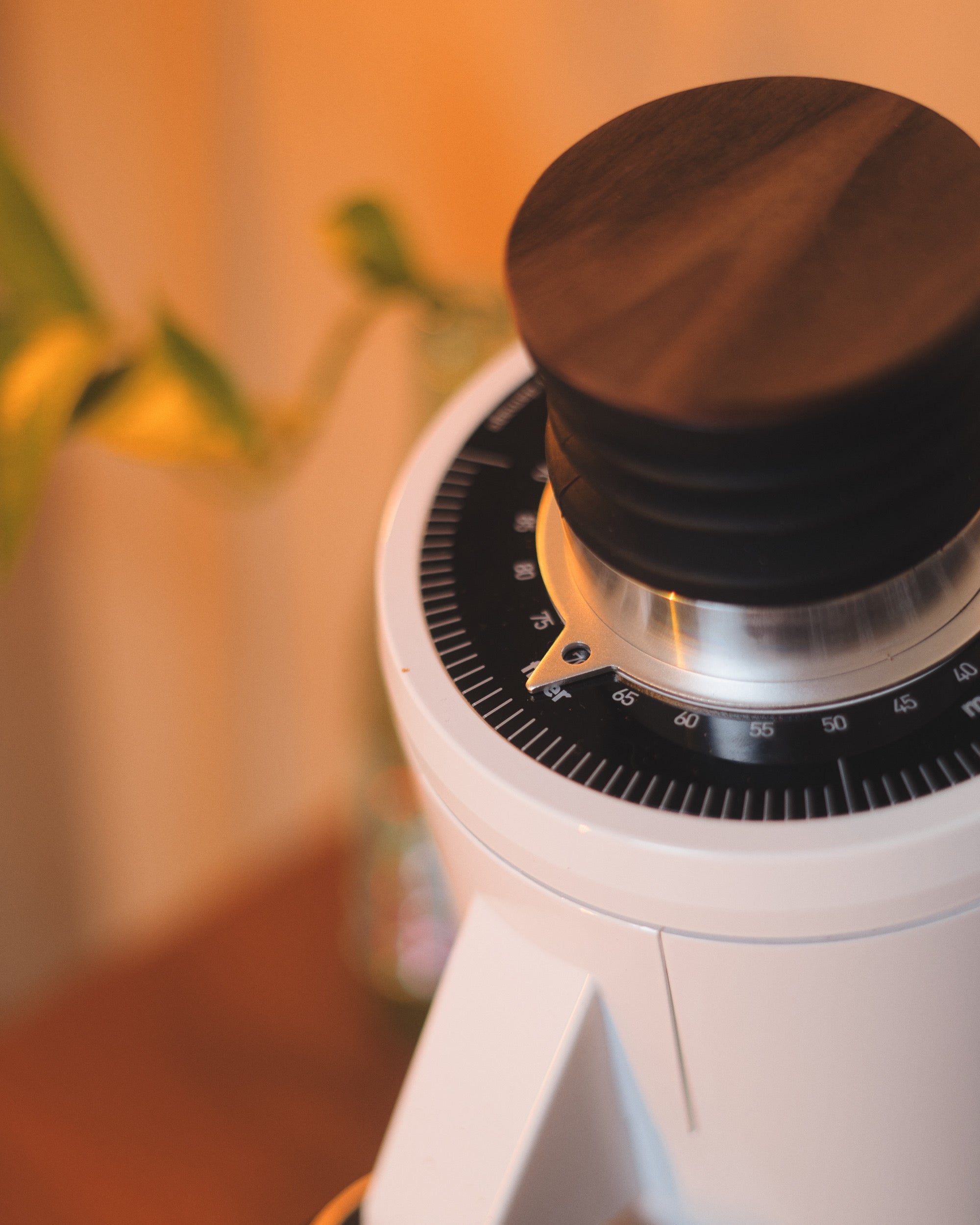 Turin DF83 v3 Single Dose Grinder Espresso Outlet LLC