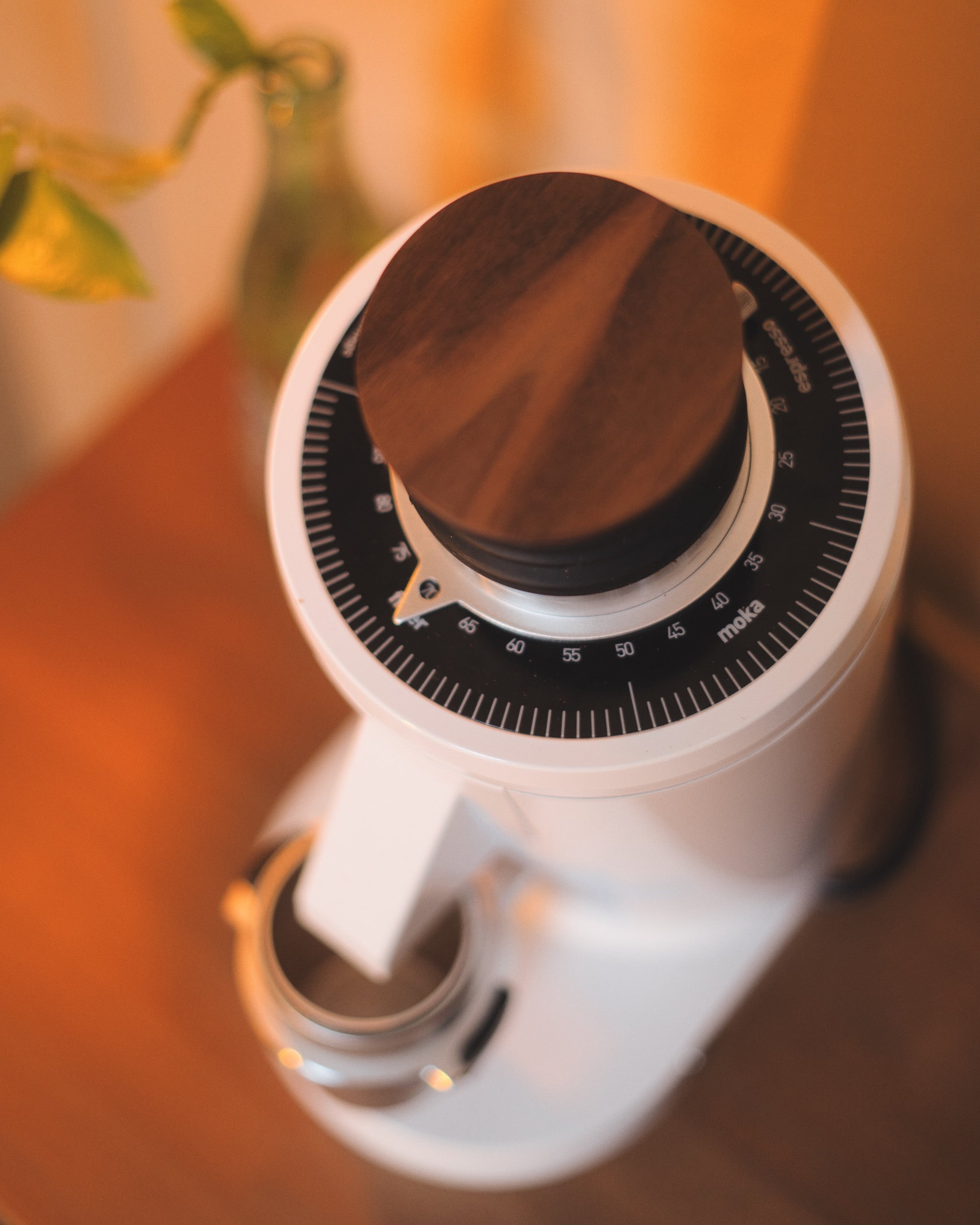 Turin DF83 v3 Single Dose Grinder Espresso Outlet LLC