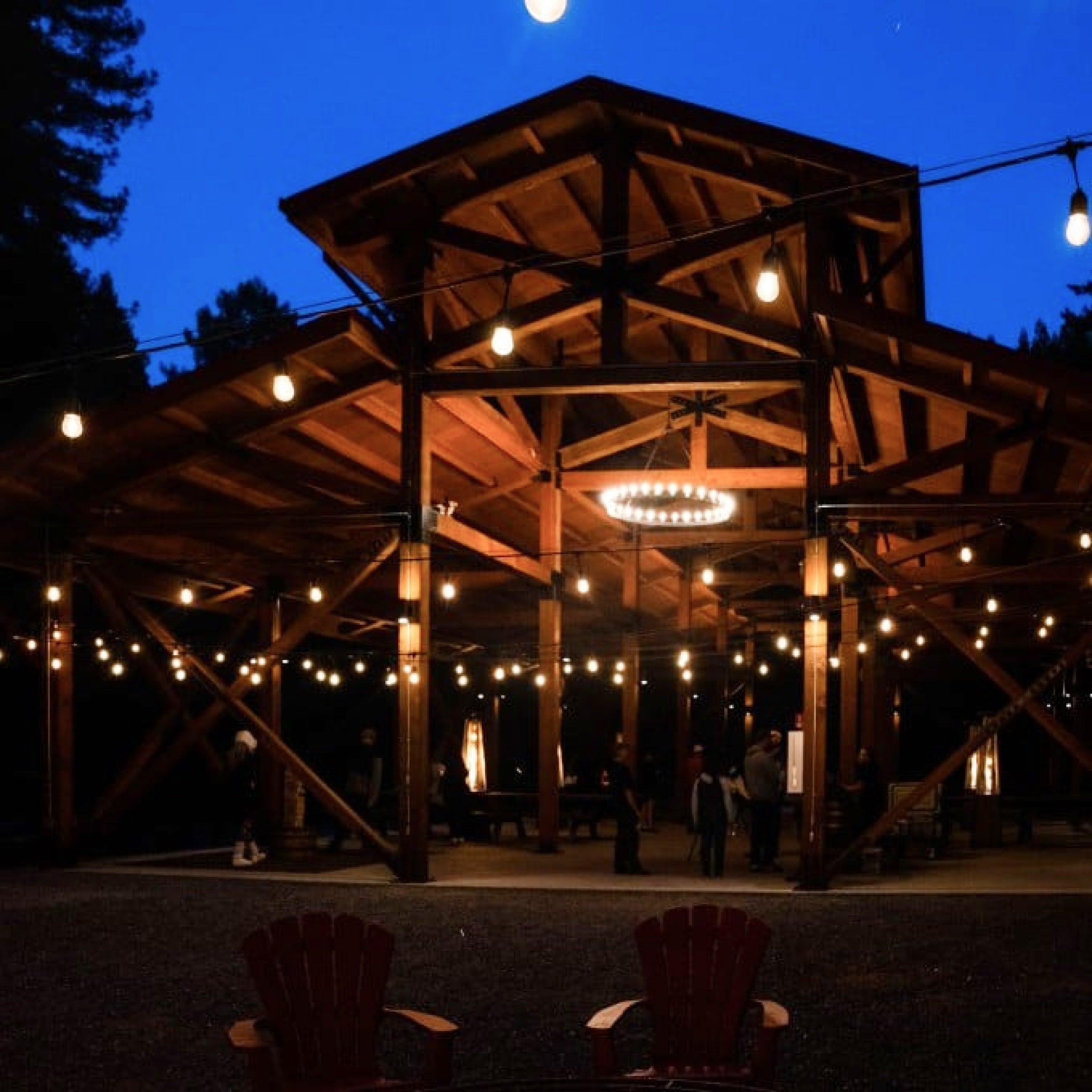 Redwoods Adventure: Scenic Train Ride to the Secluded Glen Blair Bar virgin experiences