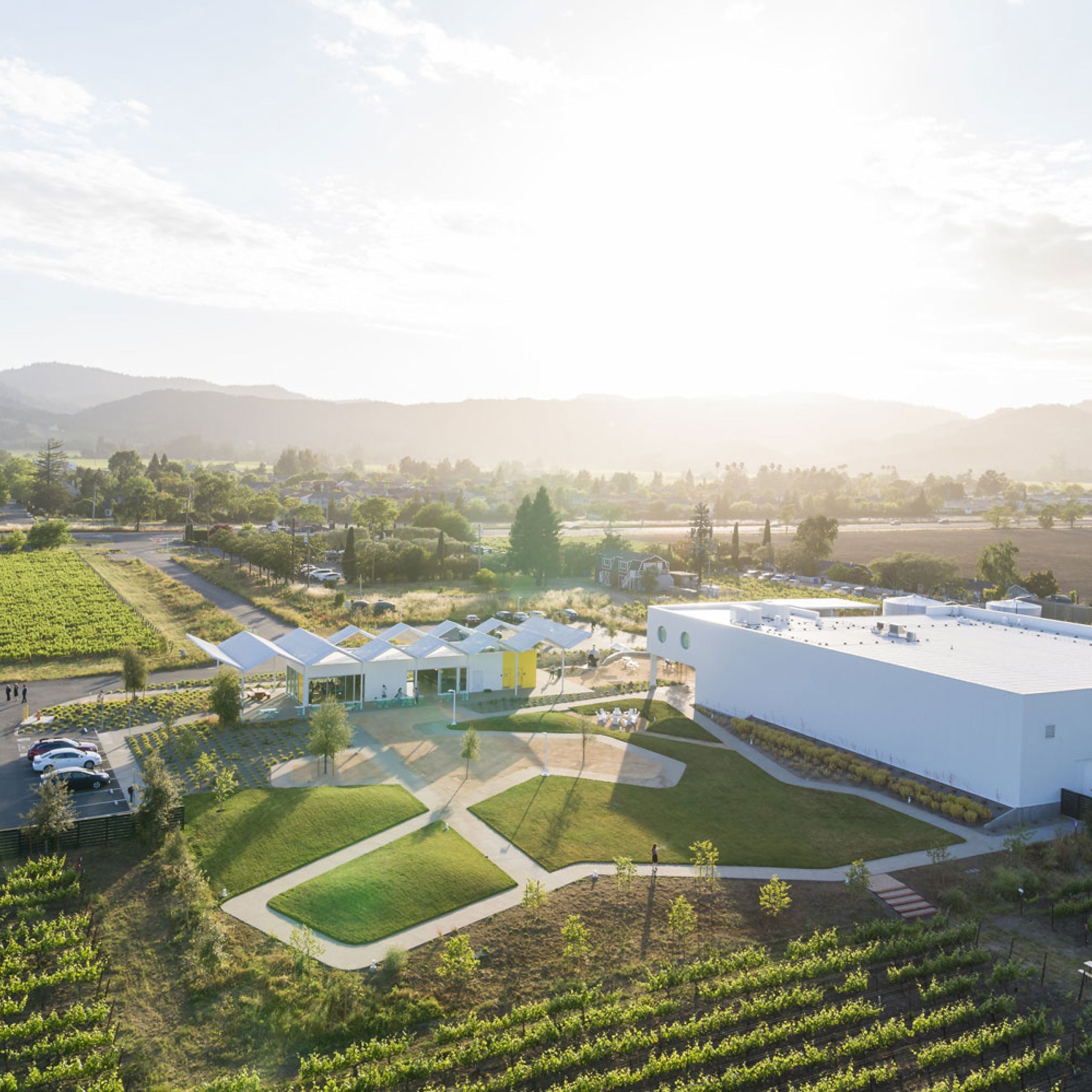 Napa Valley Wines and Cheese Tasting for Two at Ashes & Diamonds Winery virgin experiences