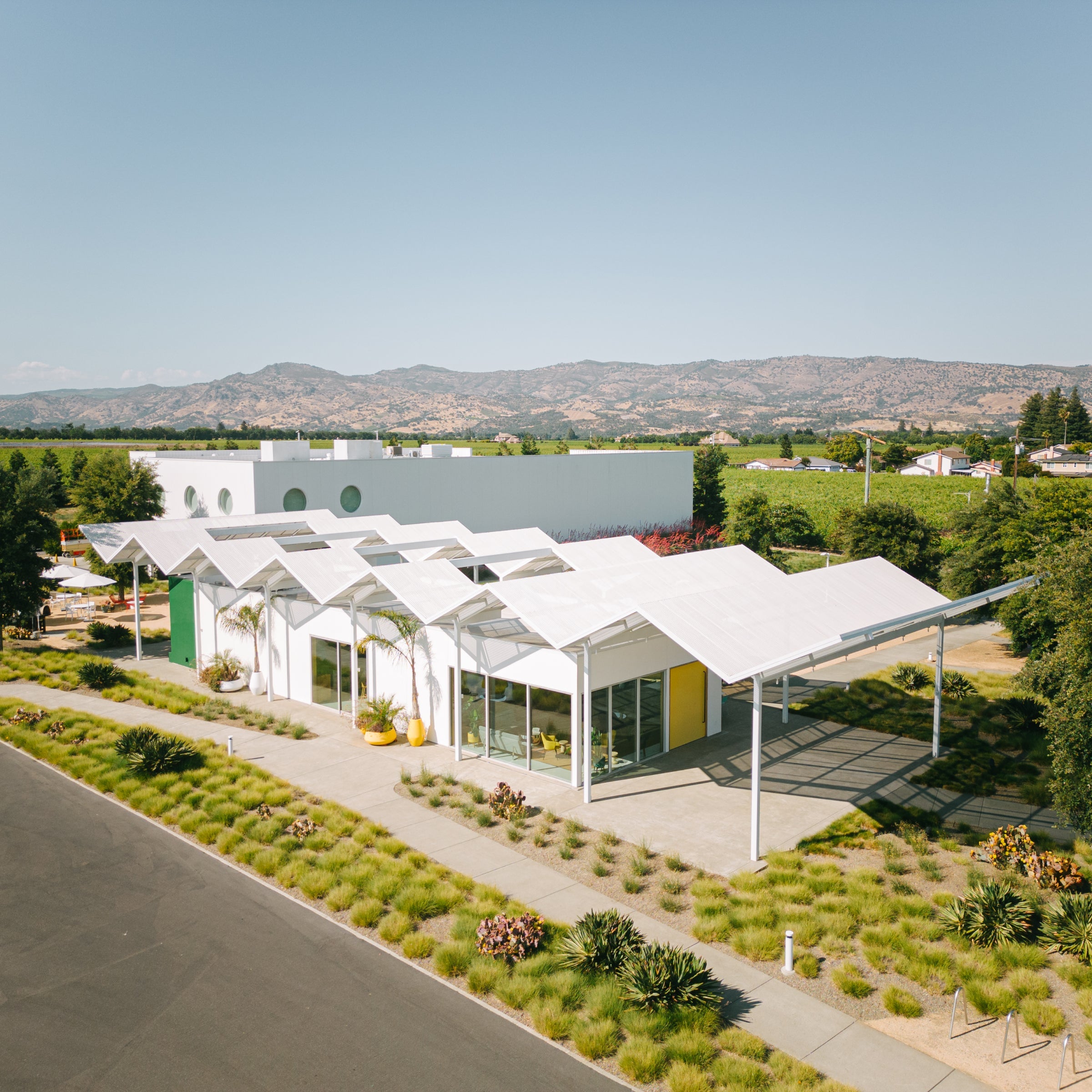 Napa Valley Wines and Cheese Tasting for Two at Ashes & Diamonds Winery virgin experiences