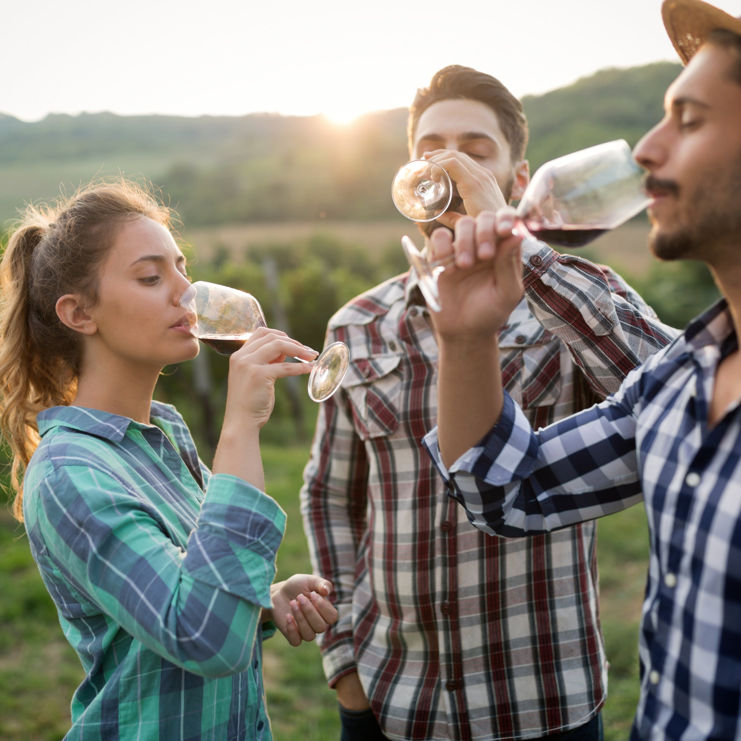Wine Education Experience with Tasting and Picnic virgin experiences