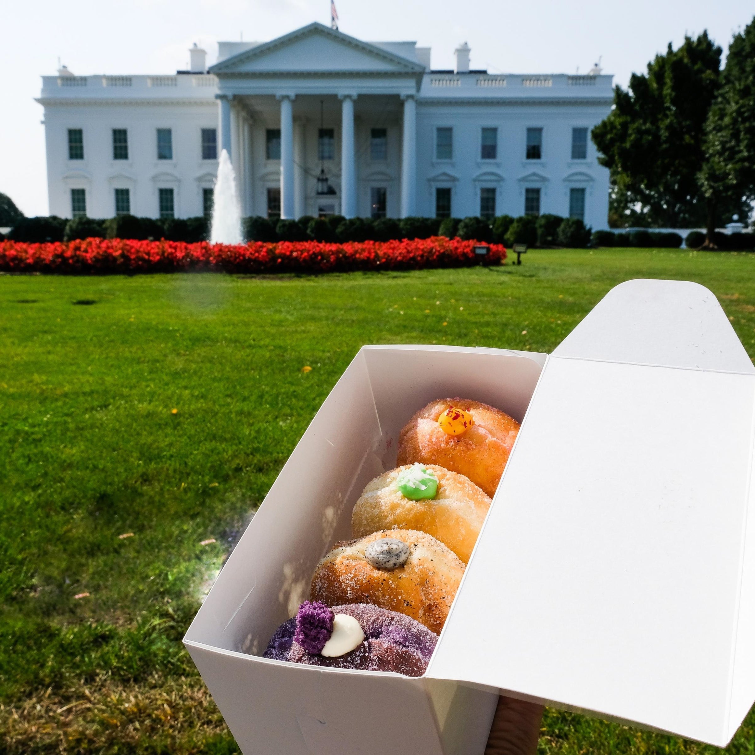 Historic DC Donut Tour virgin experiences