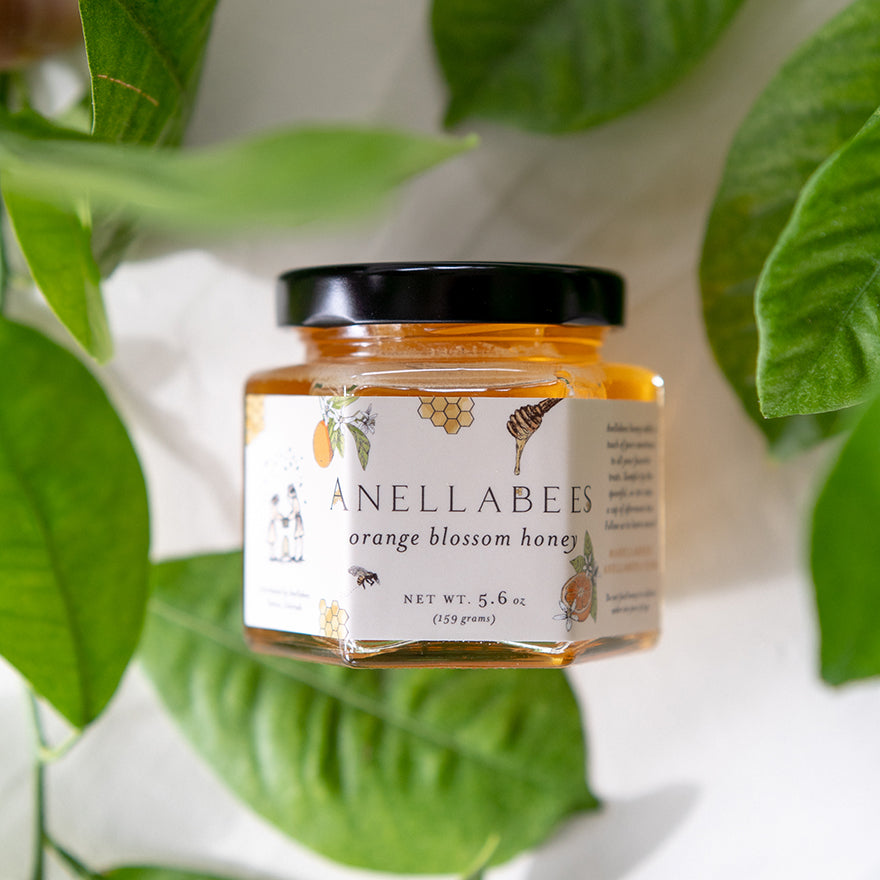 Orange Blossom Honey Anellabees