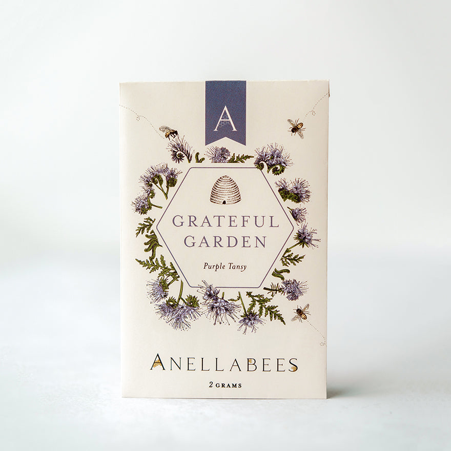 Purple Tansy (Case of 12) Anellabees