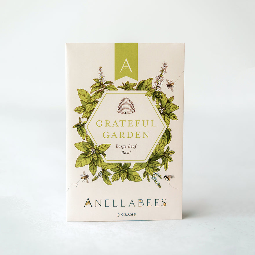 Large Leaf Basil (Case of 12) Anellabees