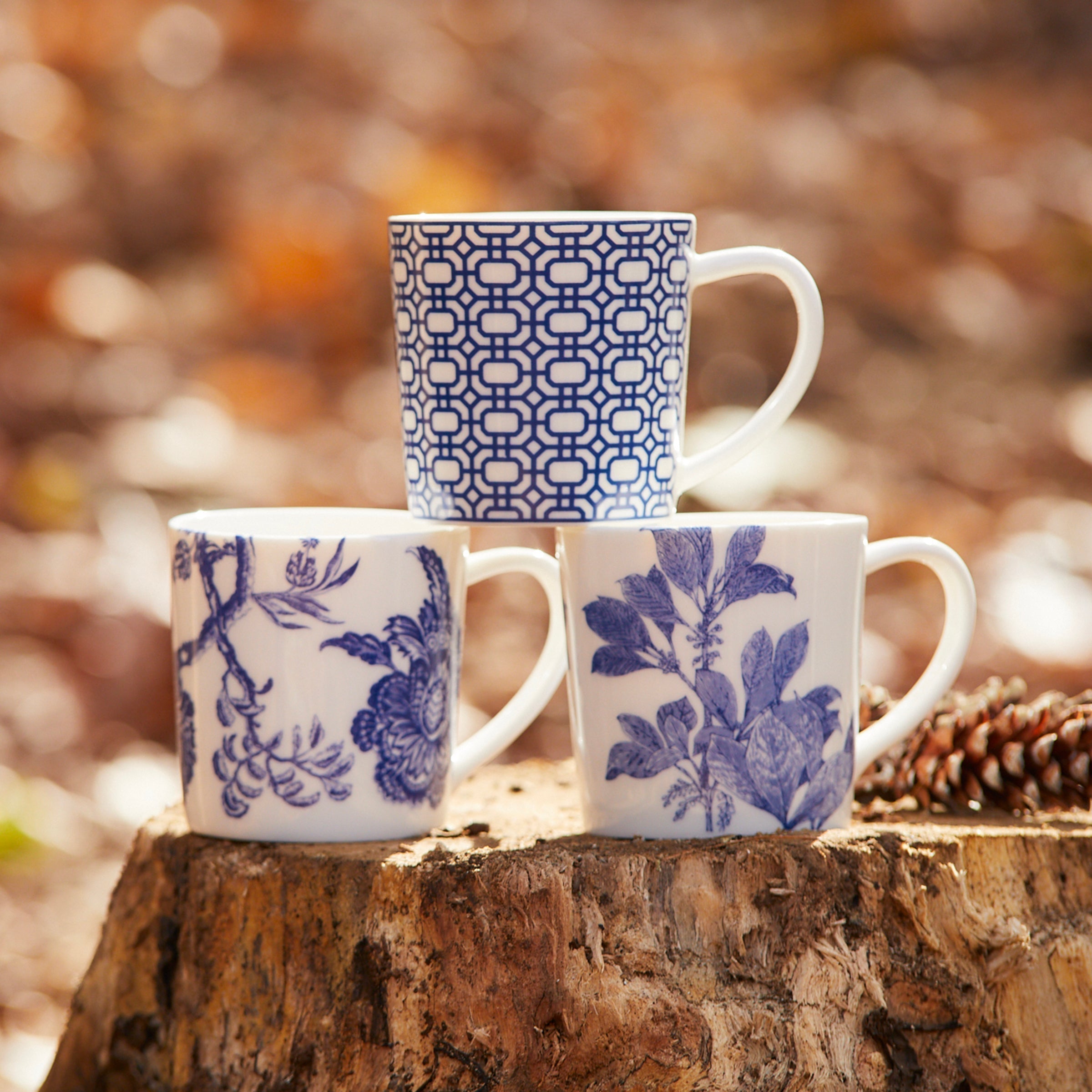 Arcadia Mug