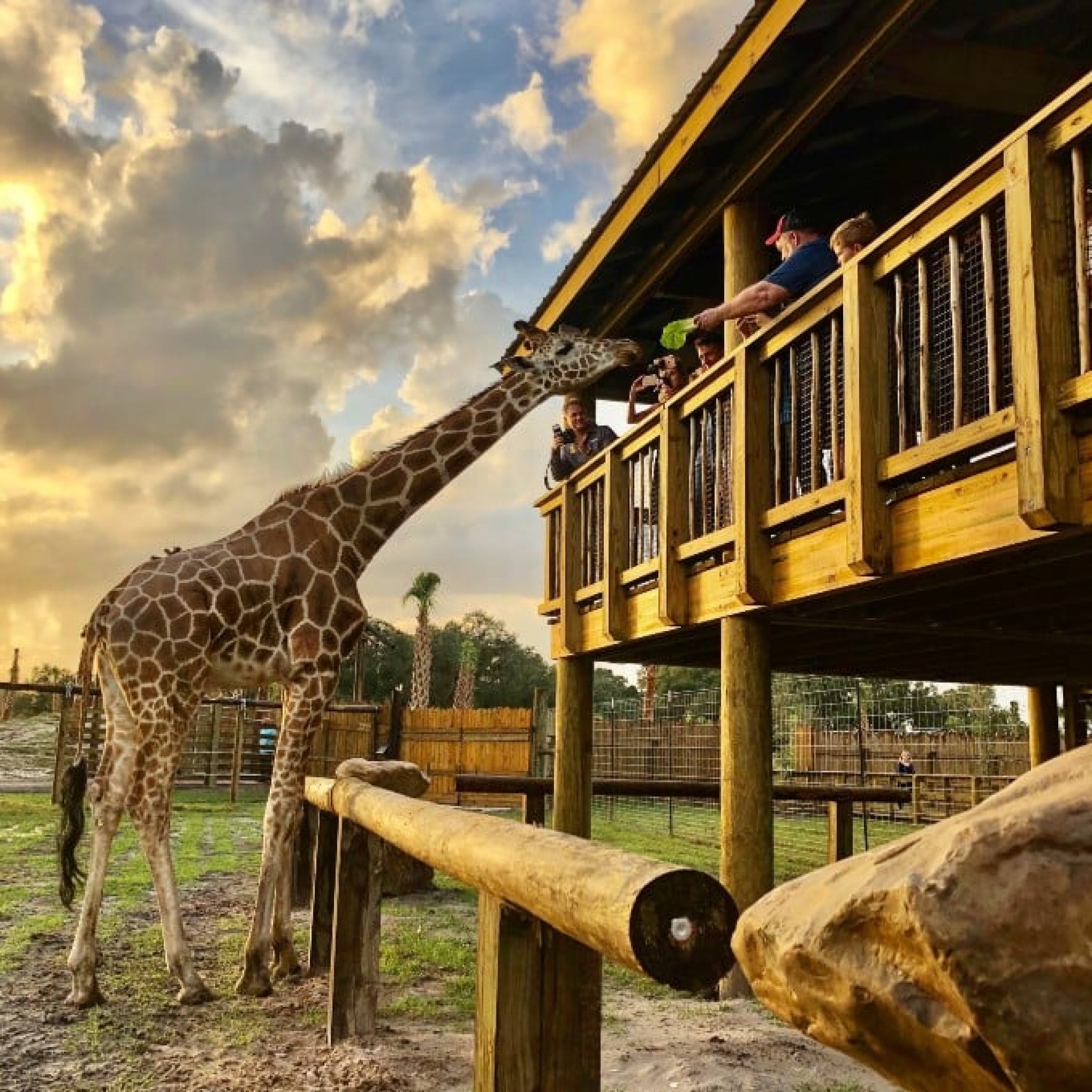 Orlando Date Night virgin experiences