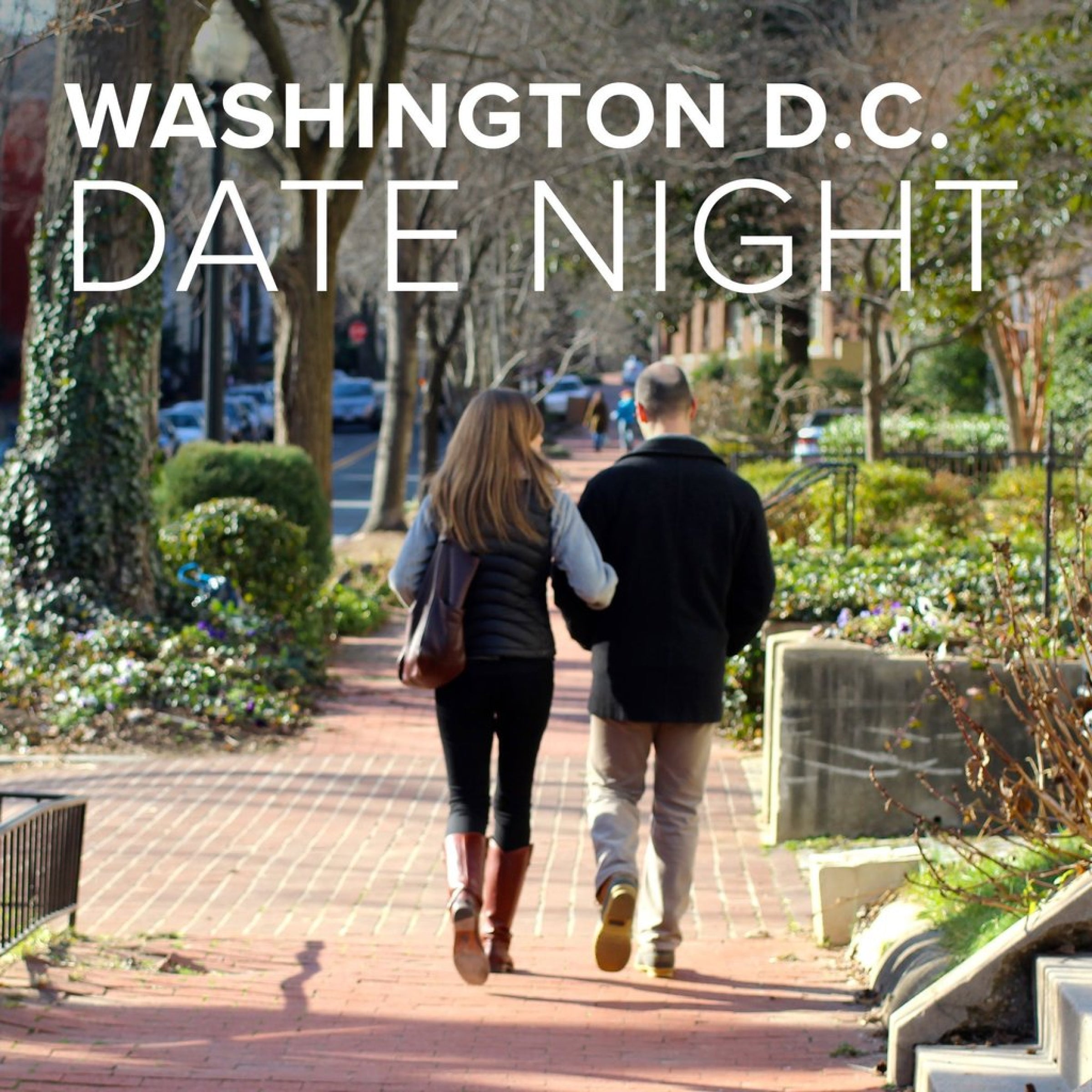 Washington DC Date Night virgin experiences