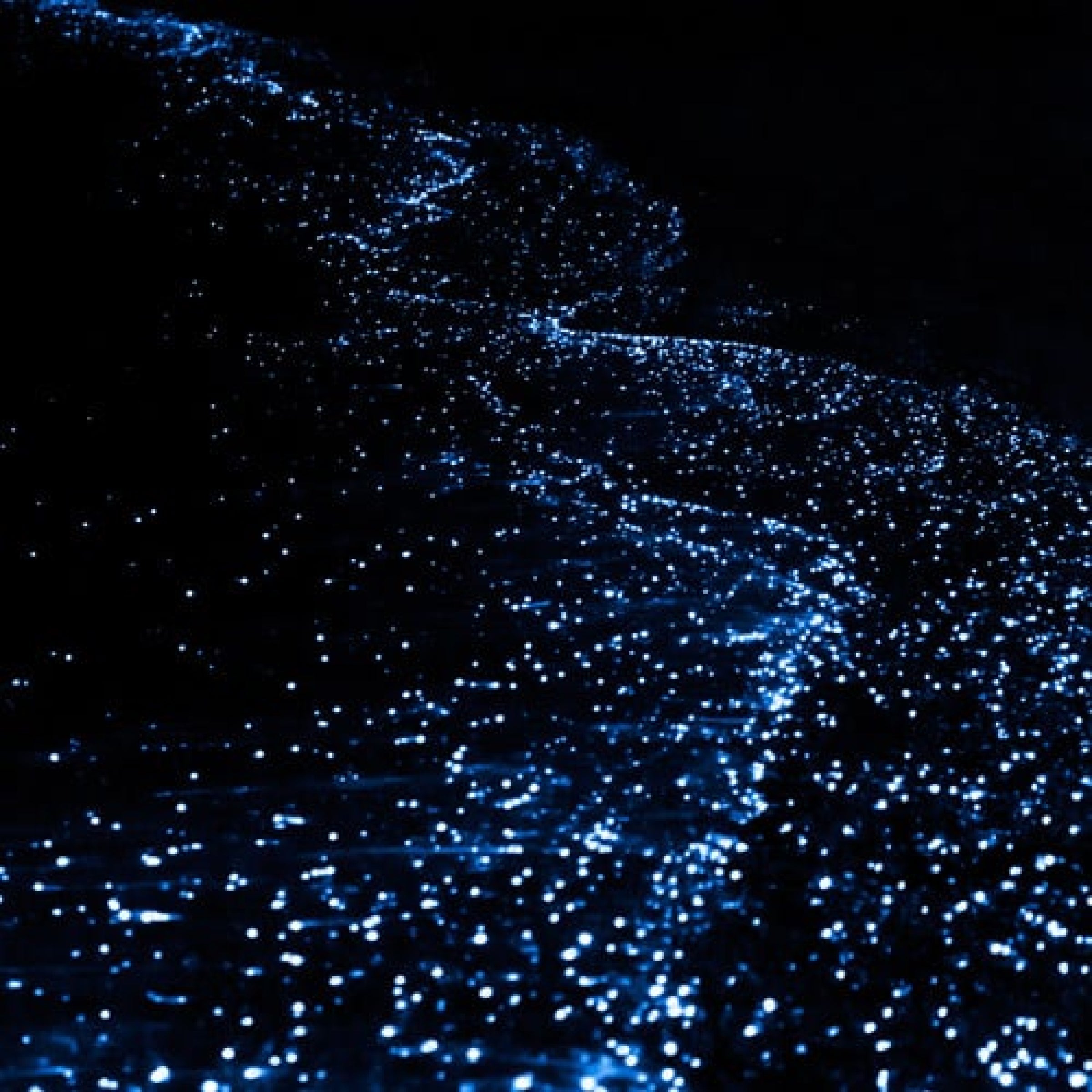 Bioluminescent Paddle Adventure virgin experiences