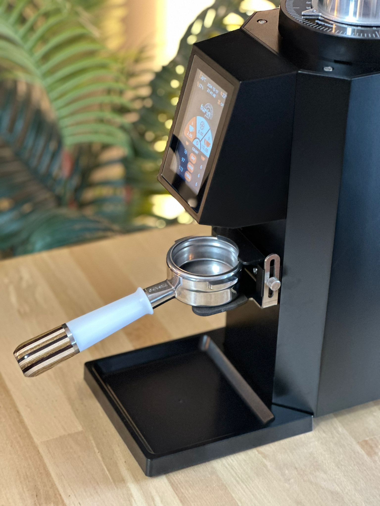 Turin ZF83 Commercial Espresso Grinder Espresso Outlet LLC