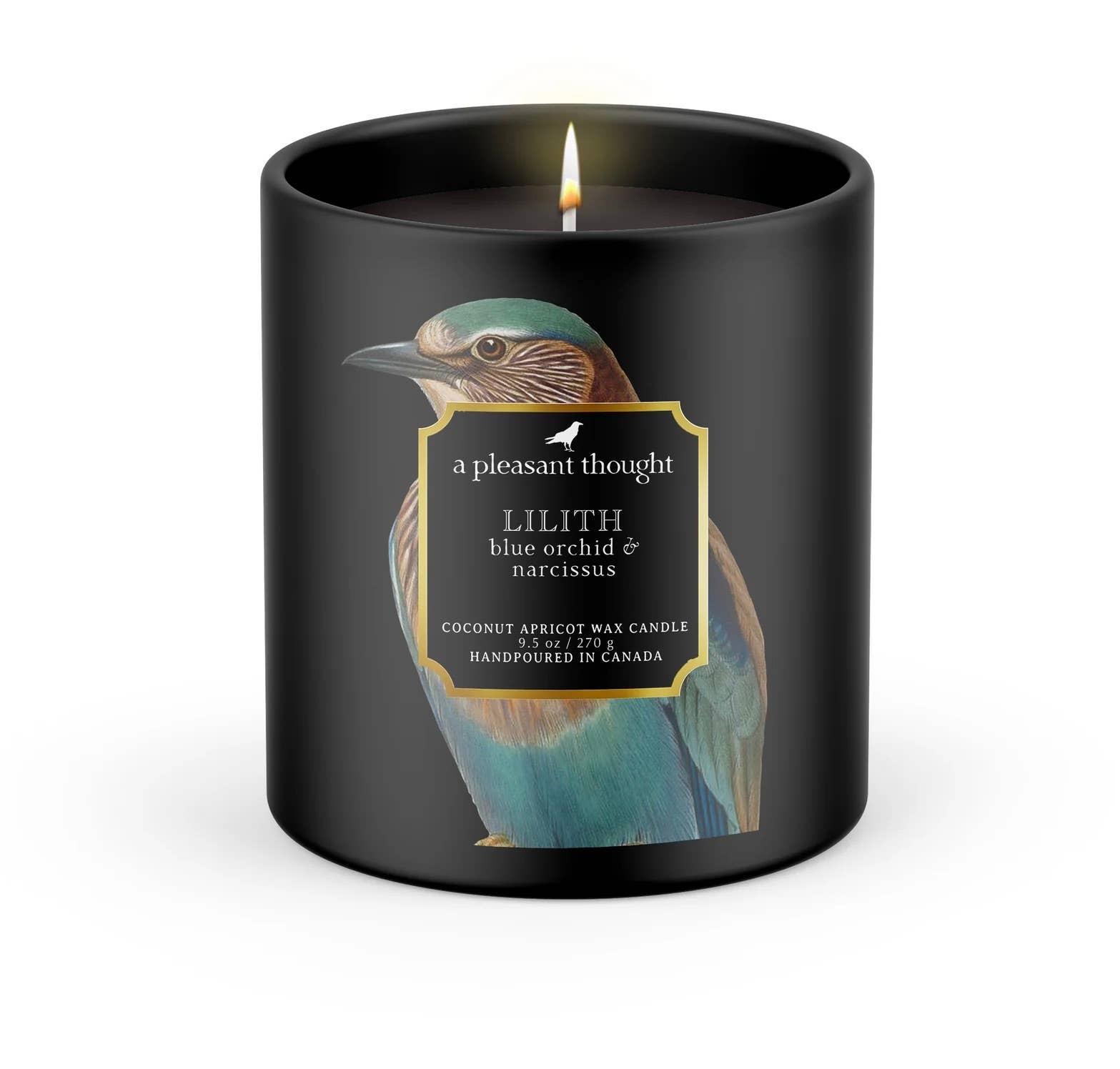 LILITH | BLUE ORCHID & NARCISSUS | RAVEN CANDLE: Cotton A Pleasant Thought