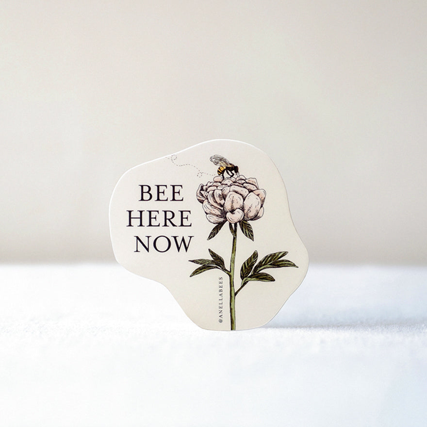 Pollinator Stickers | Supporting Bee Population Anellabees