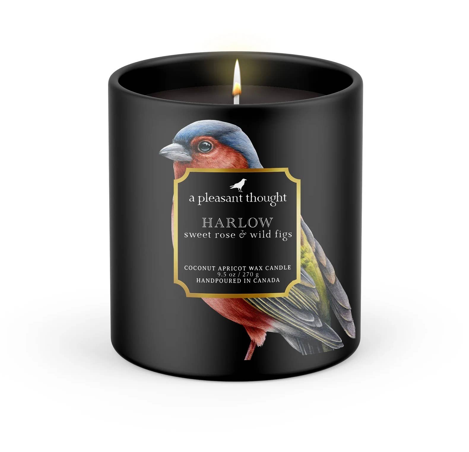 HARLOW | SWEET ROSE & WILD FIGS | RAVEN CANDLE: Cotton A Pleasant Thought