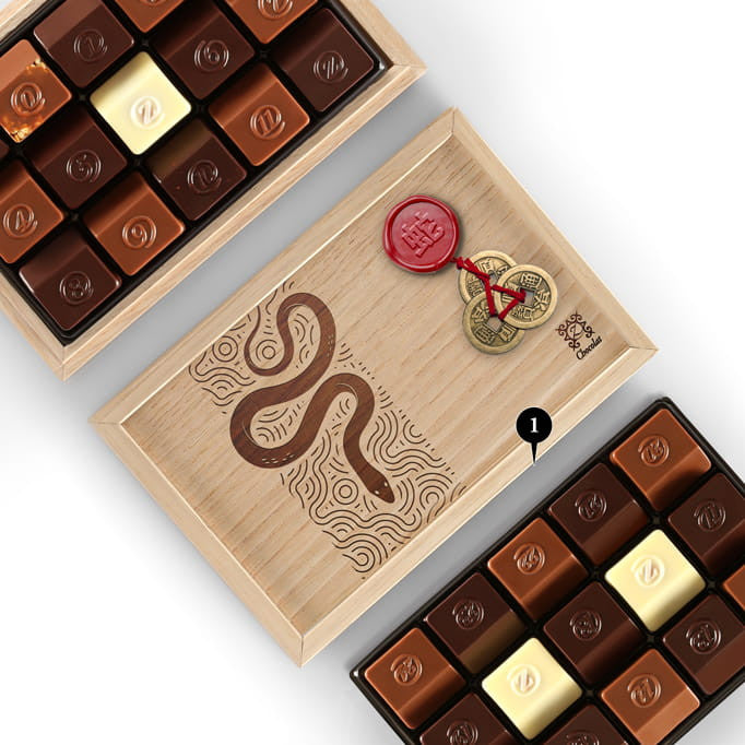CNY Chameleon z chocolat
