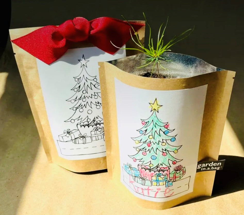 Garden-in-a-Bag| Kids! Simply Me Box
