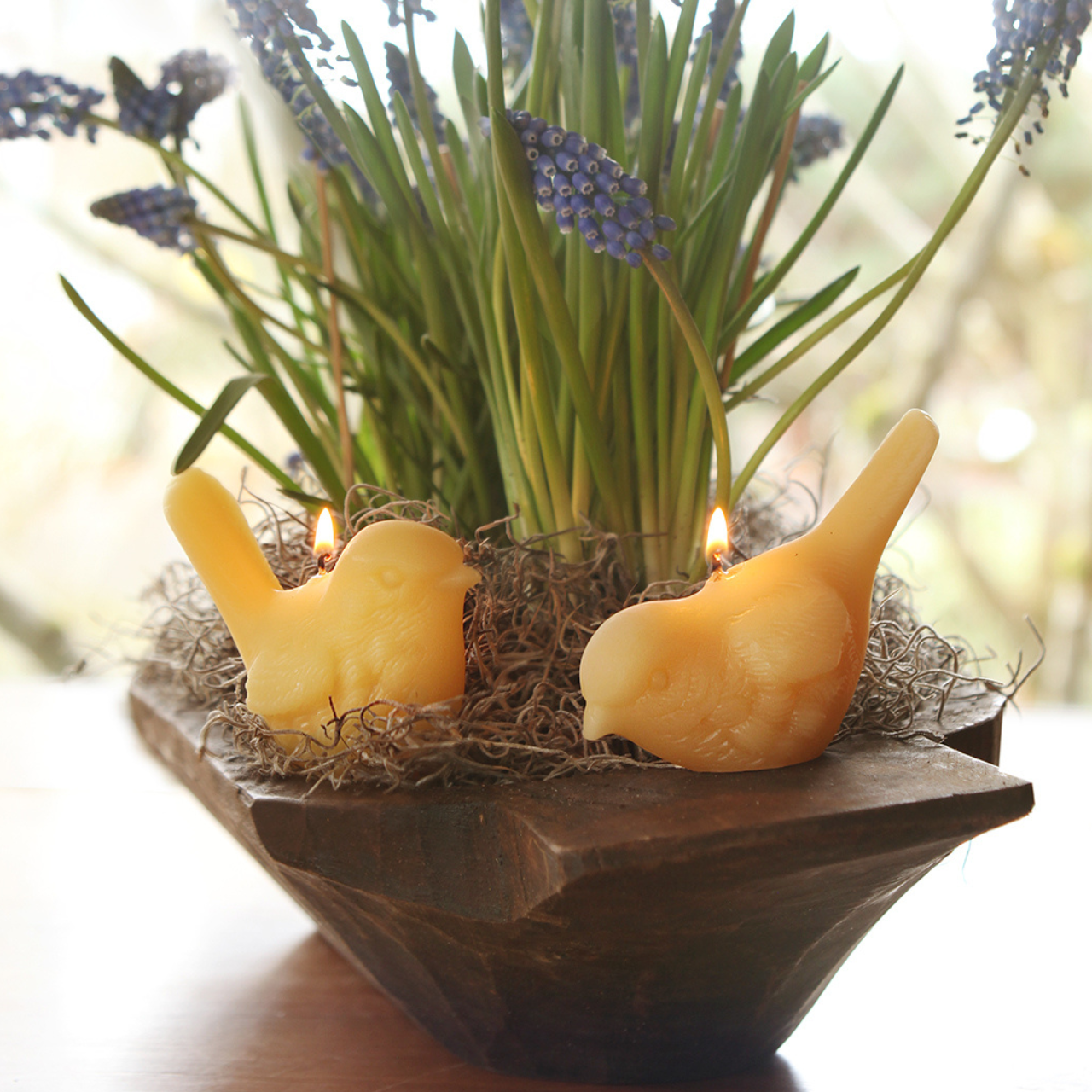 Beeswax Song Birds: Pecking Big Dipper Wax Works