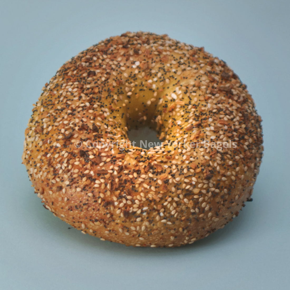 Egg Everything Bagels - 2 Dozen