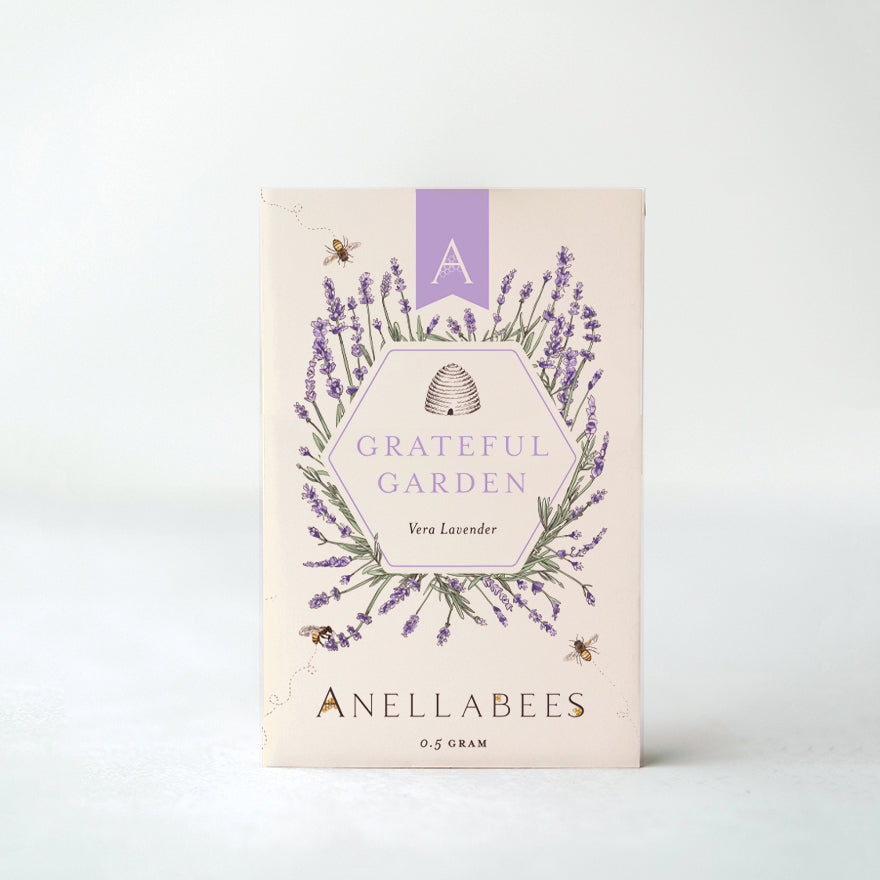 Vera Lavender (Case of 12) Anellabees