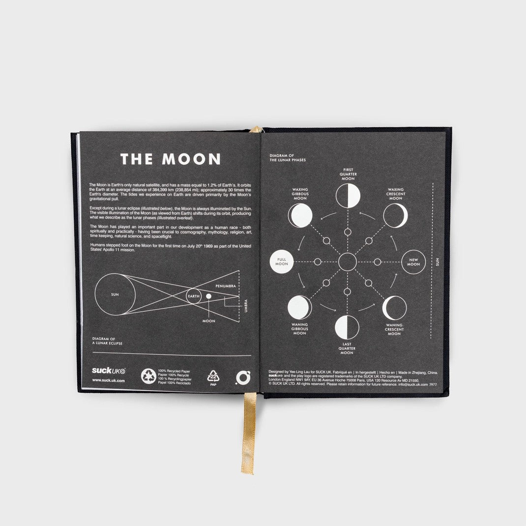 Space X -Moon Box