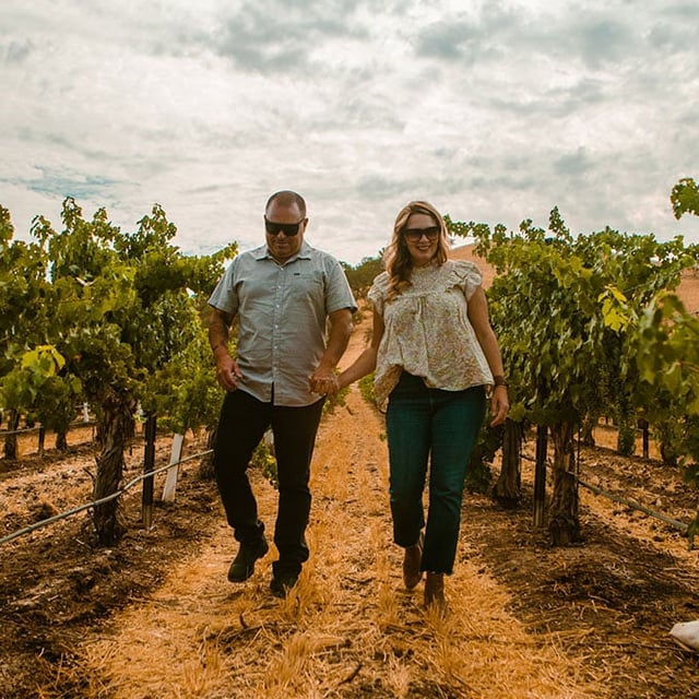 Premier Sidecar Wine Tour and Tasting virgin experiences