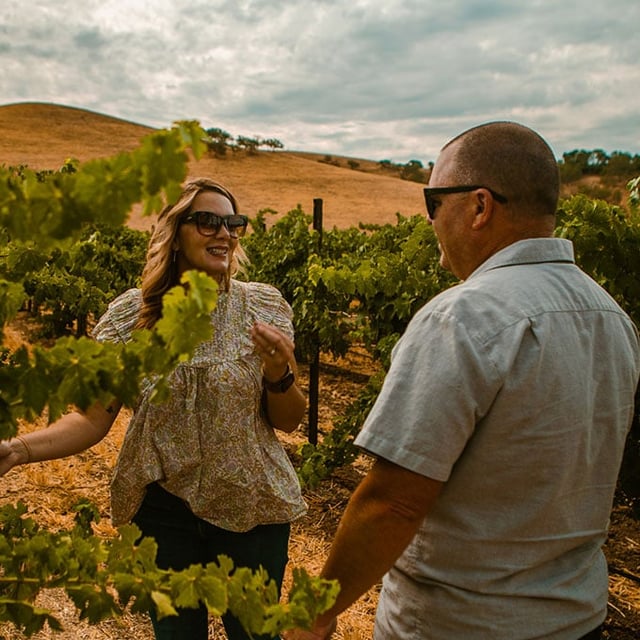 Premier Sidecar Wine Tour and Tasting virgin experiences