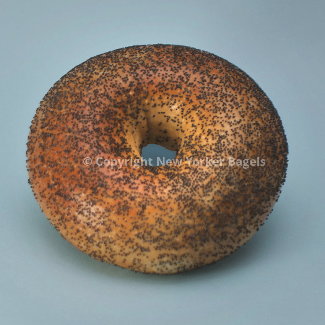 Poppy Bagels - 2 Dozen