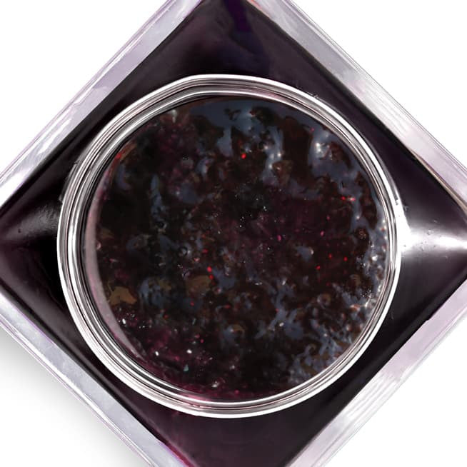 Blueberry / Raspberry z chocolat