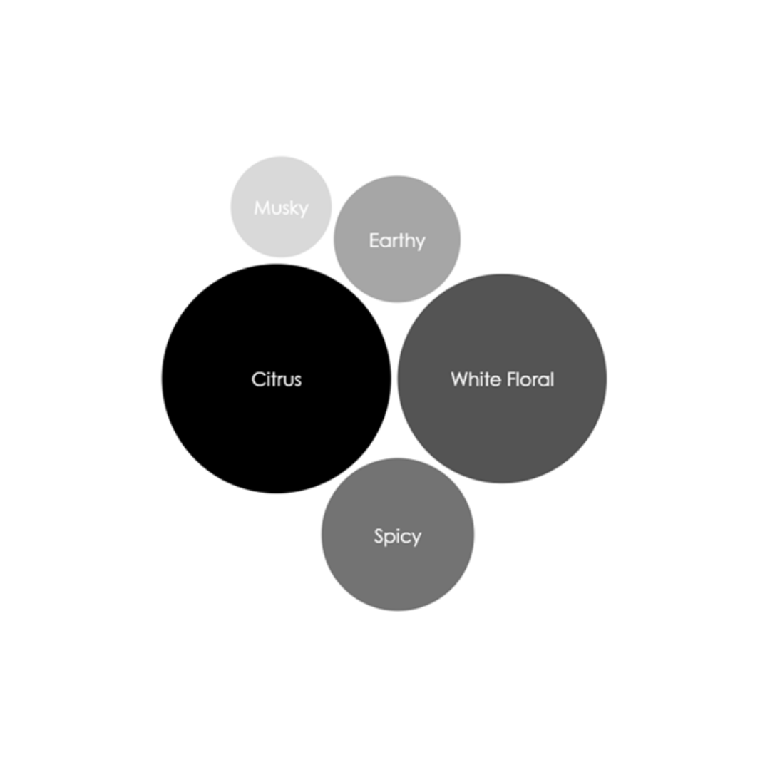 Moroccan Azahar Reed Diffuser Thompson Ferrier