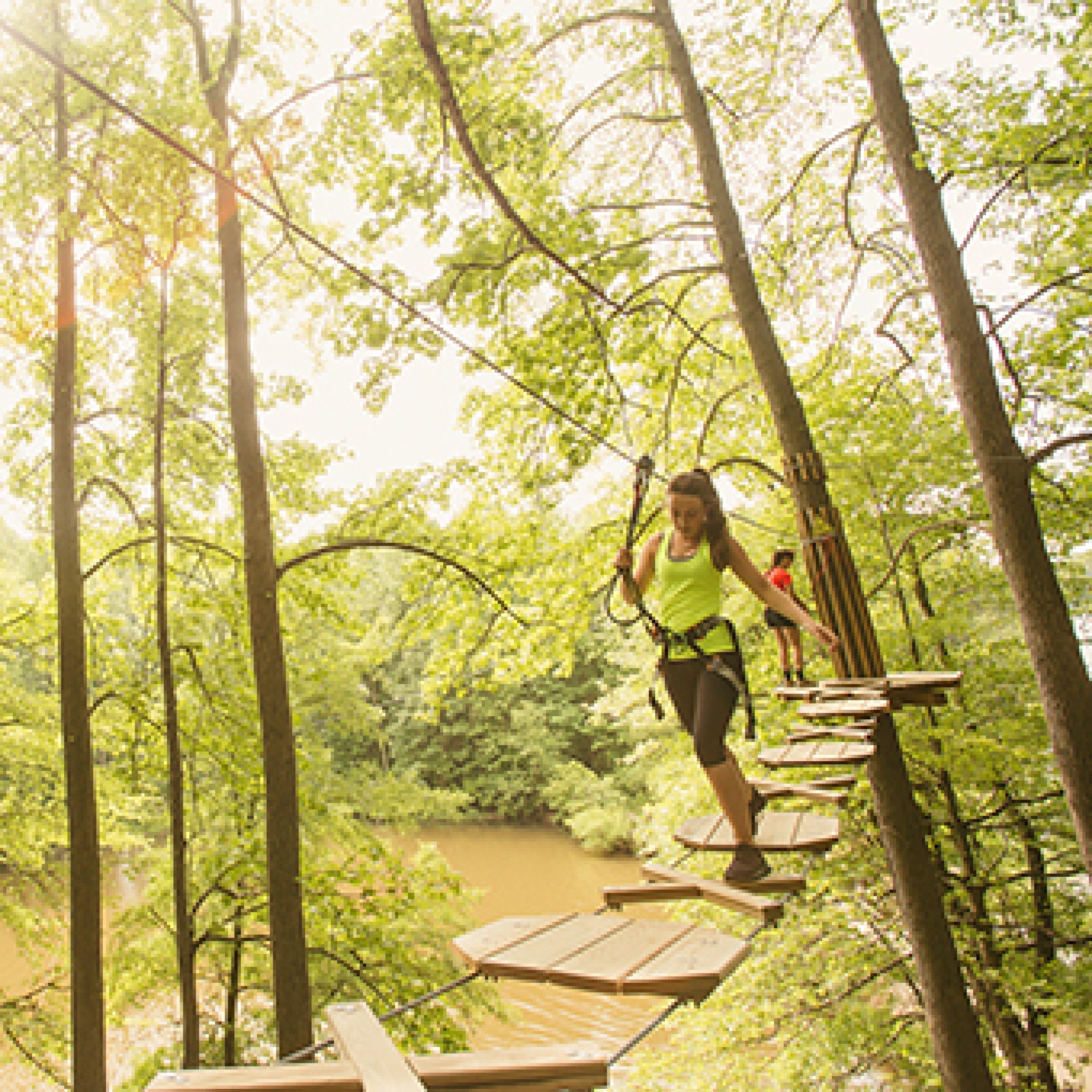 Treetop Adventure with Go Ape virgin experiences